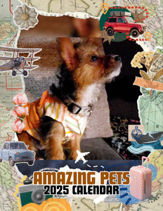 Amazing Pets: 2025 Wall Calendar (Pre-Order)