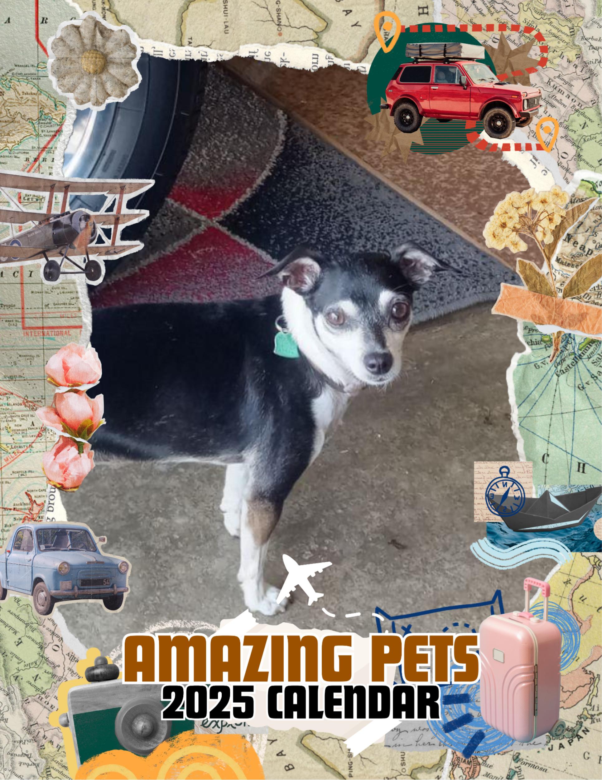 Amazing Pets: 2025 Wall Calendar (Pre-Order)