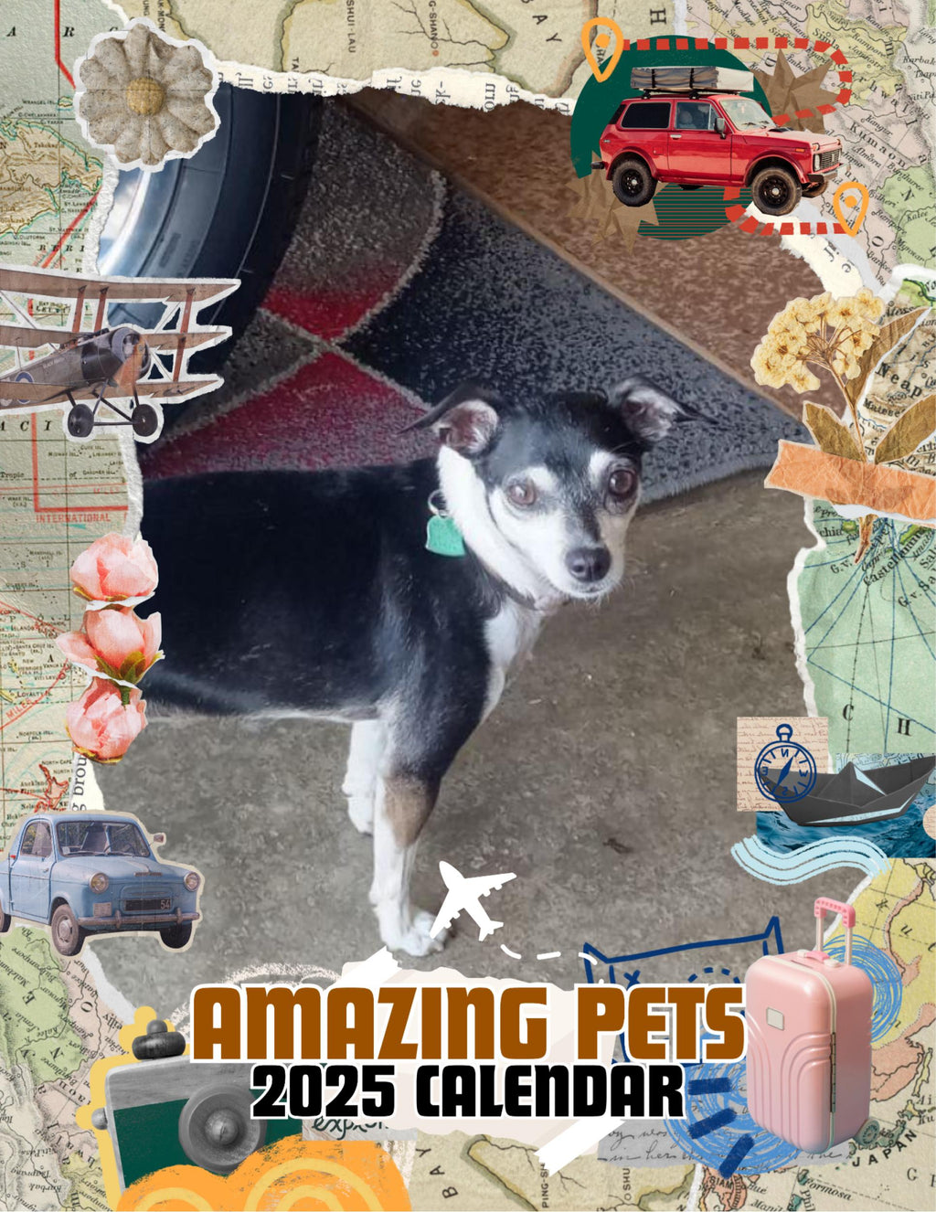 Amazing Pets: 2025 Wall Calendar (Pre-Order)