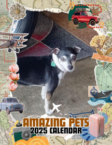 Amazing Pets: 2025 Wall Calendar (Pre-Order)