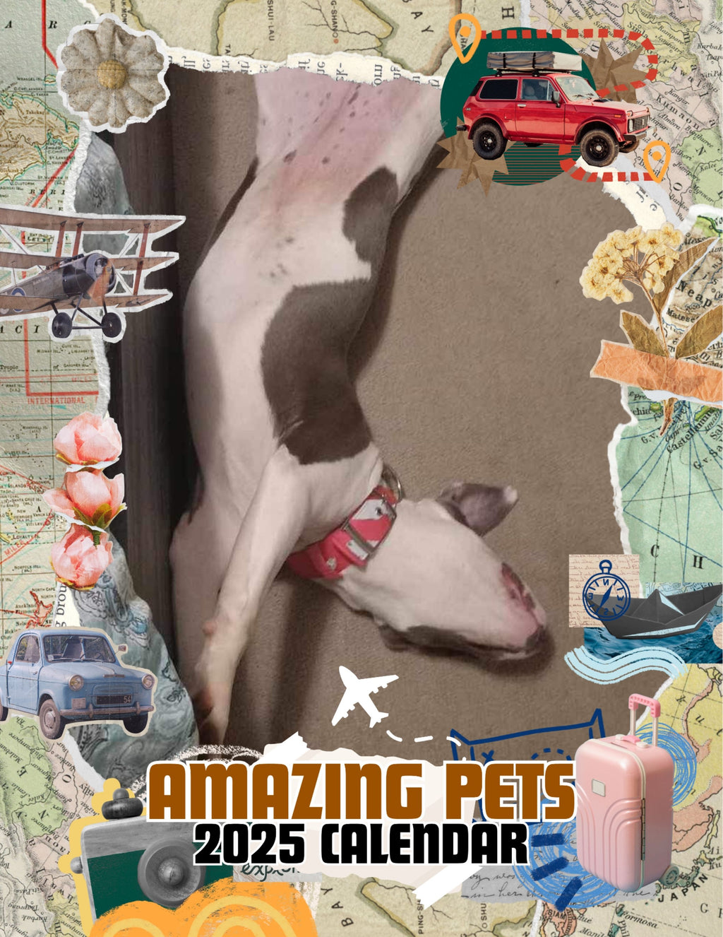 Amazing Pets: 2025 Wall Calendar (Pre-Order)