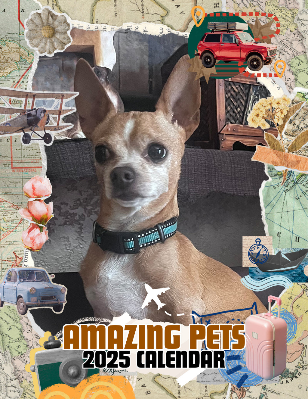 Amazing Pets: 2025 Wall Calendar (Pre-Order)