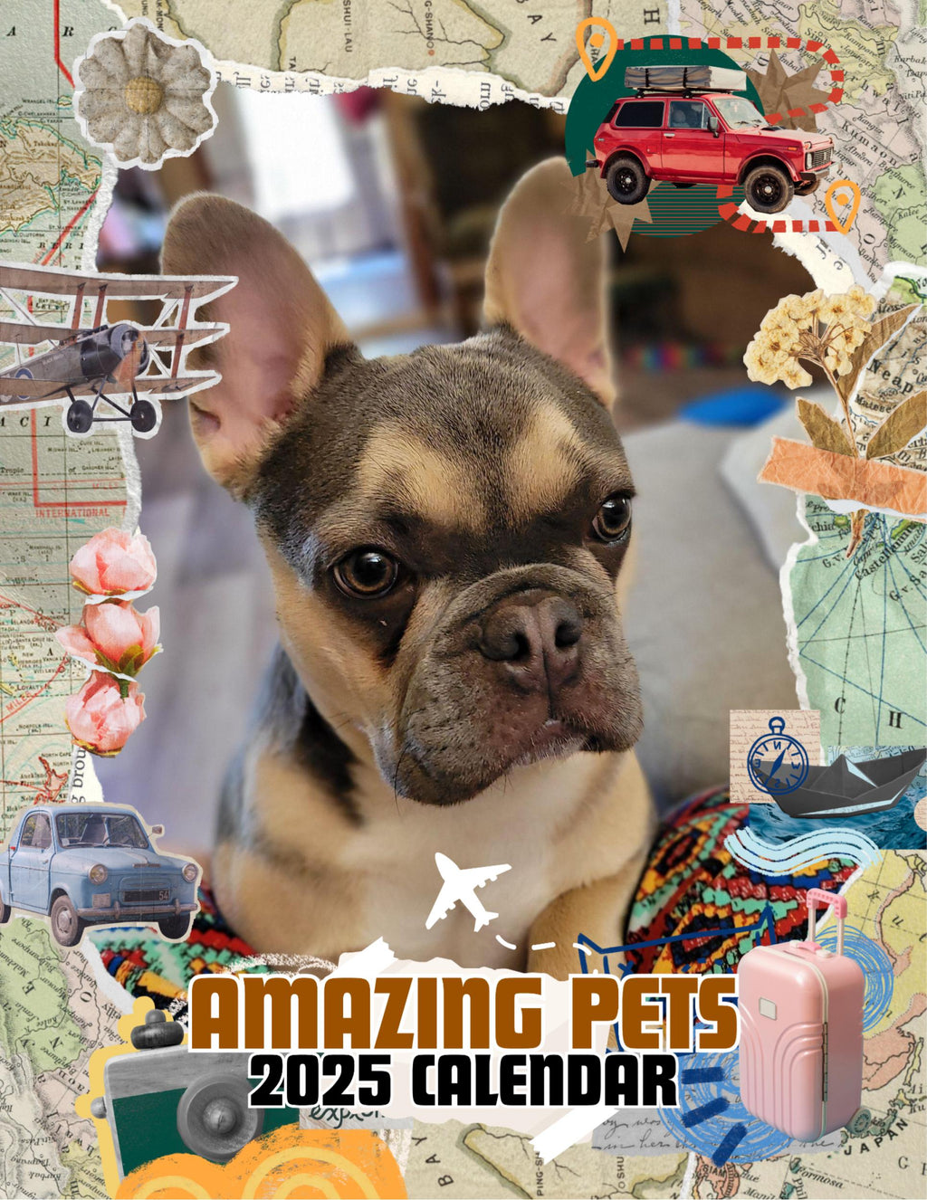 Amazing Pets: 2025 Wall Calendar (Pre-Order)