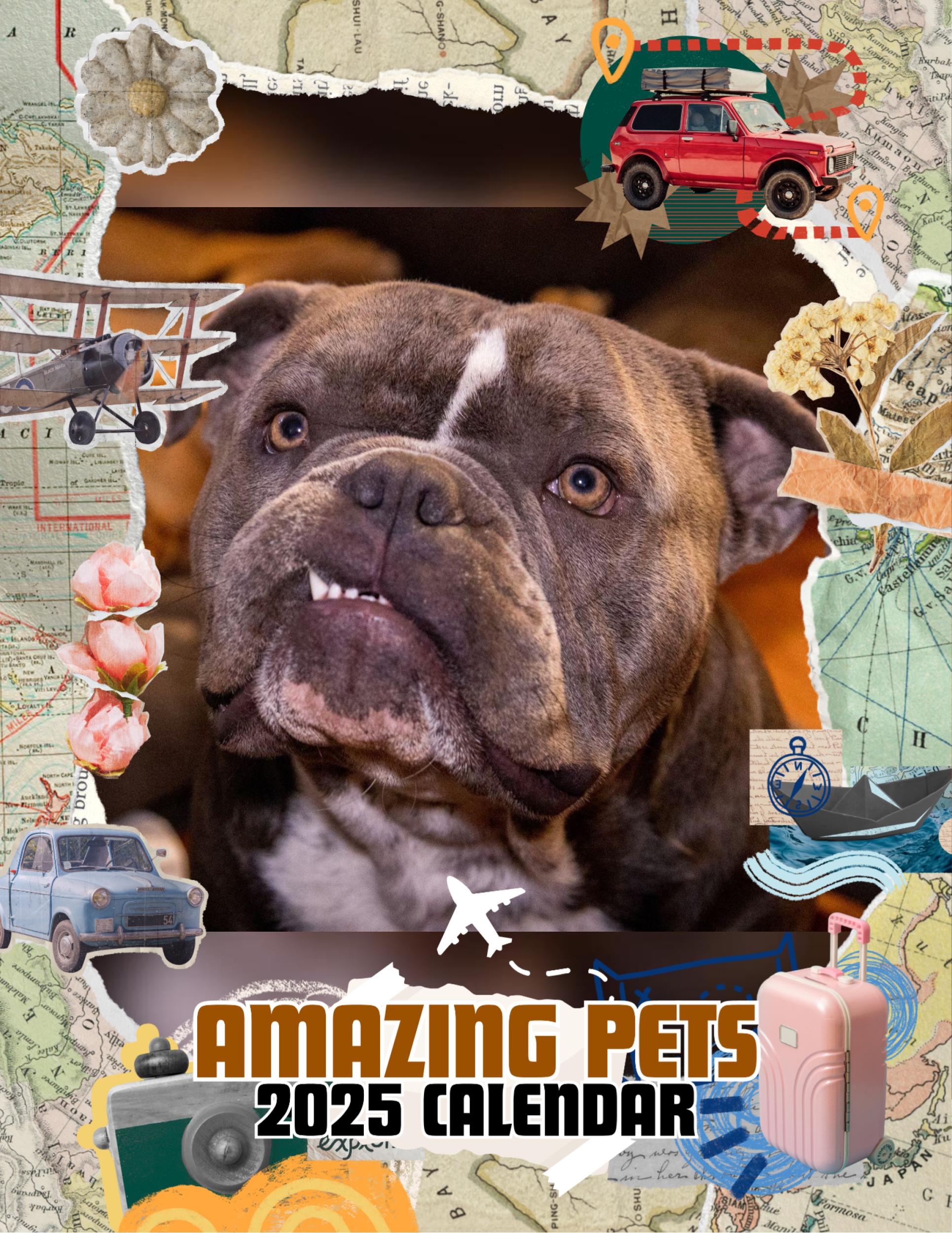 Amazing Pets: 2025 Wall Calendar (Pre-Order)