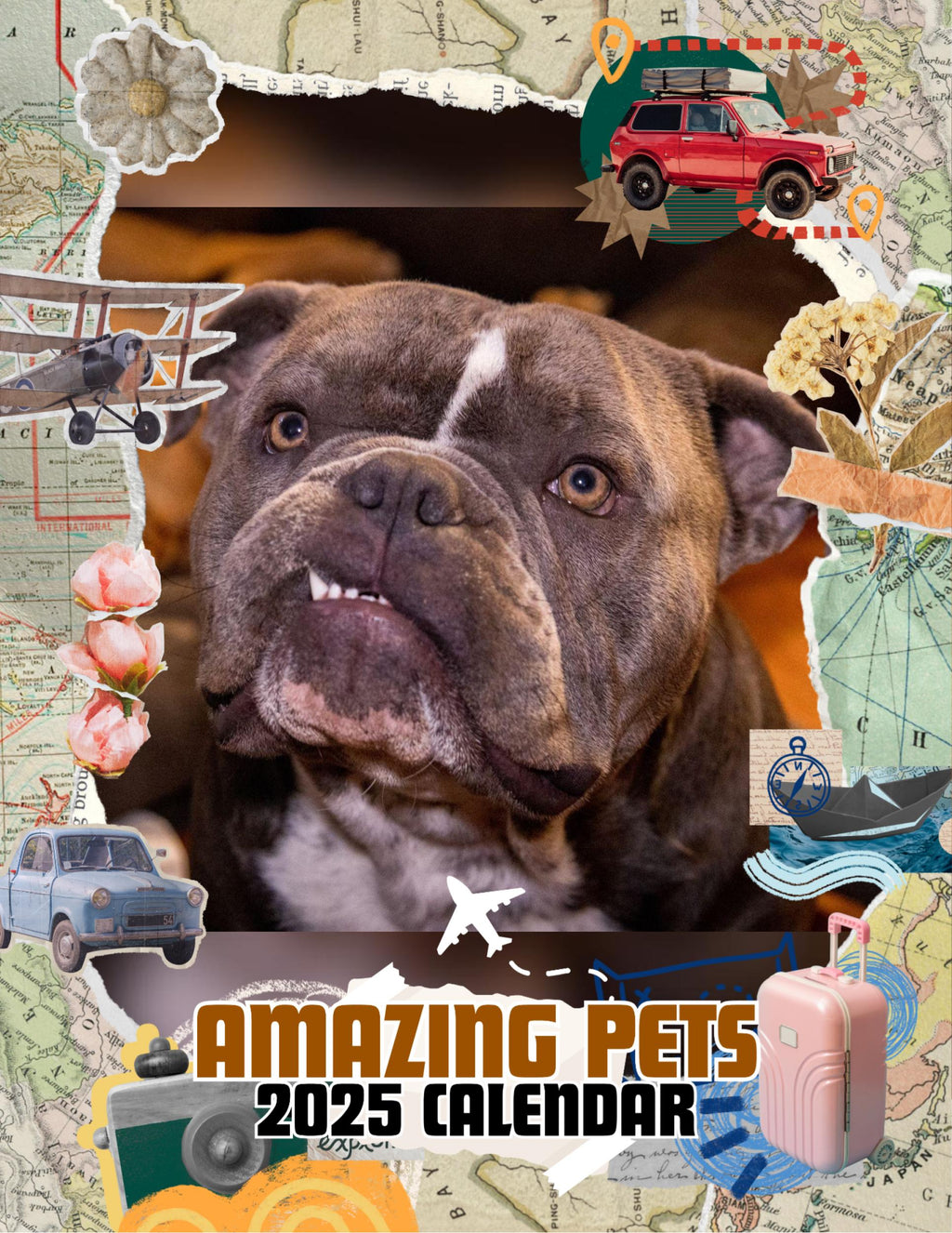 Amazing Pets: 2025 Wall Calendar (Pre-Order)