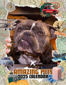 Amazing Pets: 2025 Wall Calendar (Pre-Order)
