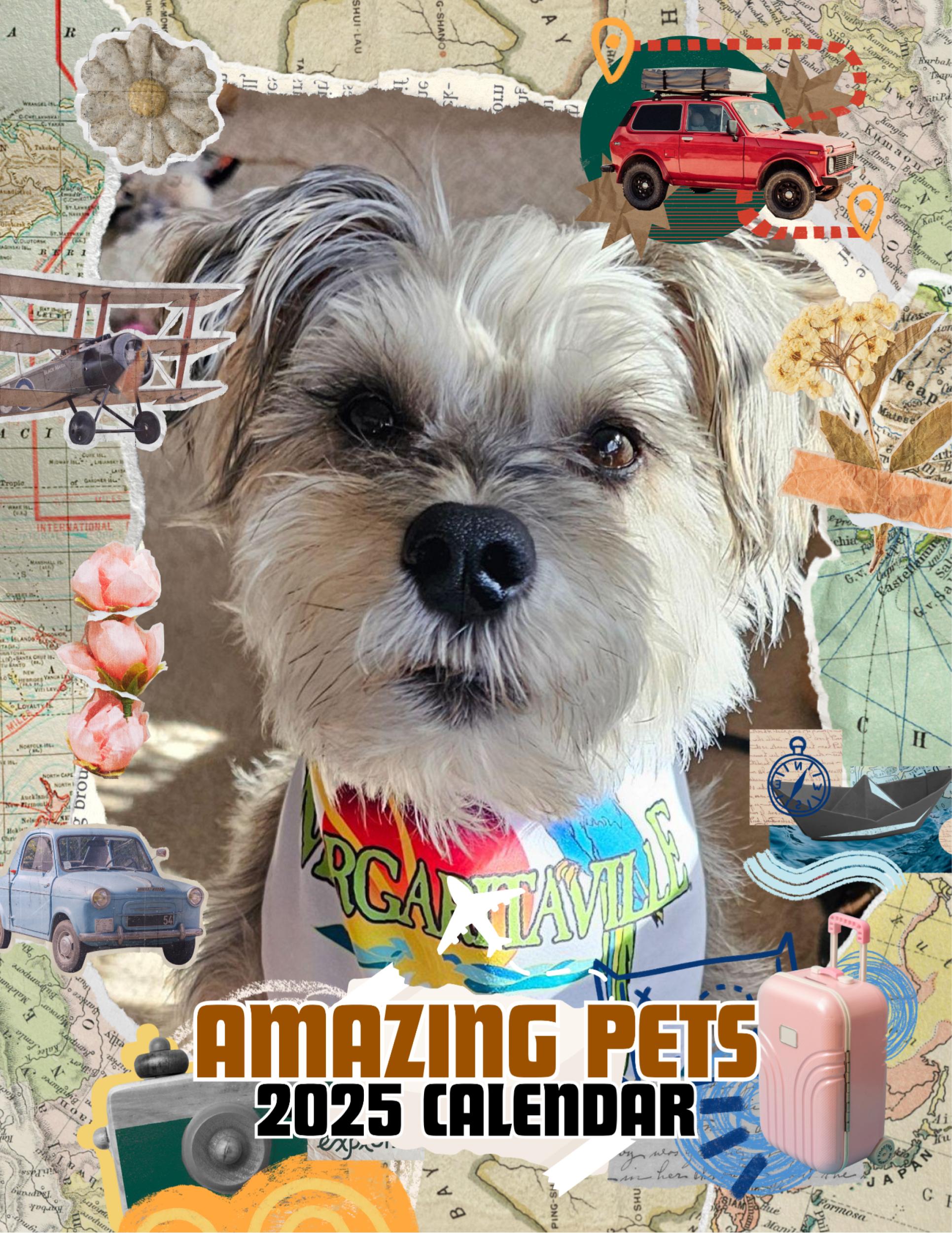 Amazing Pets: 2025 Wall Calendar (Pre-Order)
