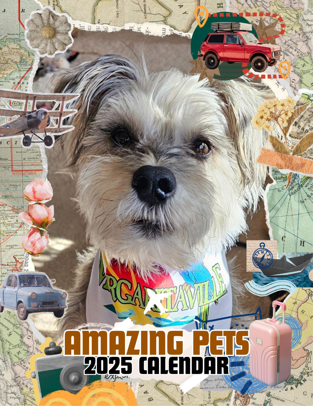 Amazing Pets: 2025 Wall Calendar (Pre-Order)