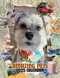 Amazing Pets: 2025 Wall Calendar (Pre-Order)