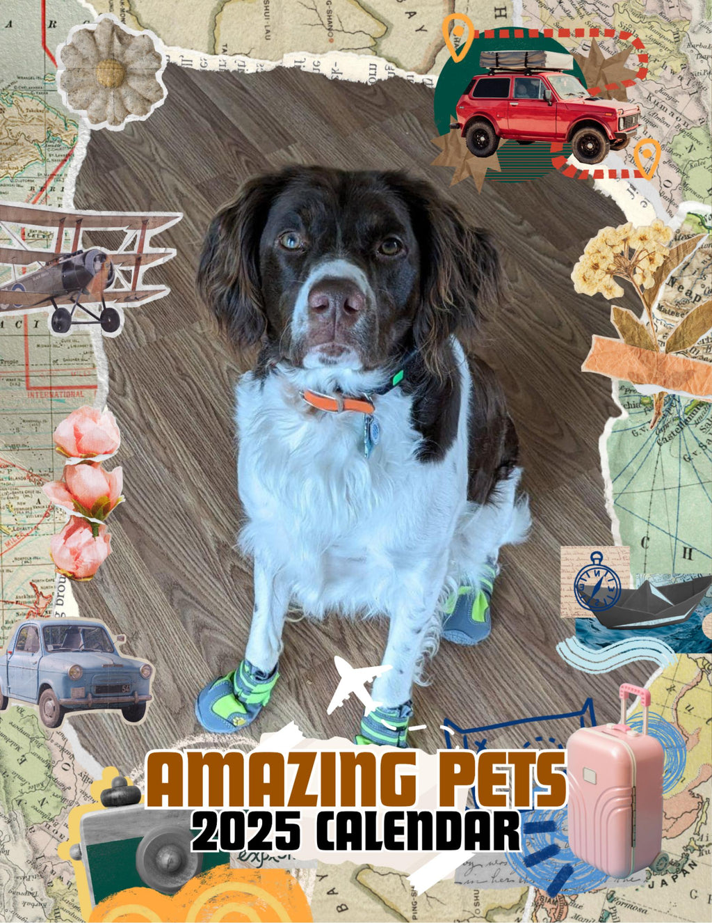 Amazing Pets: 2025 Wall Calendar (Pre-Order)