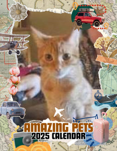 Amazing Pets: 2025 Wall Calendar (Pre-Order)