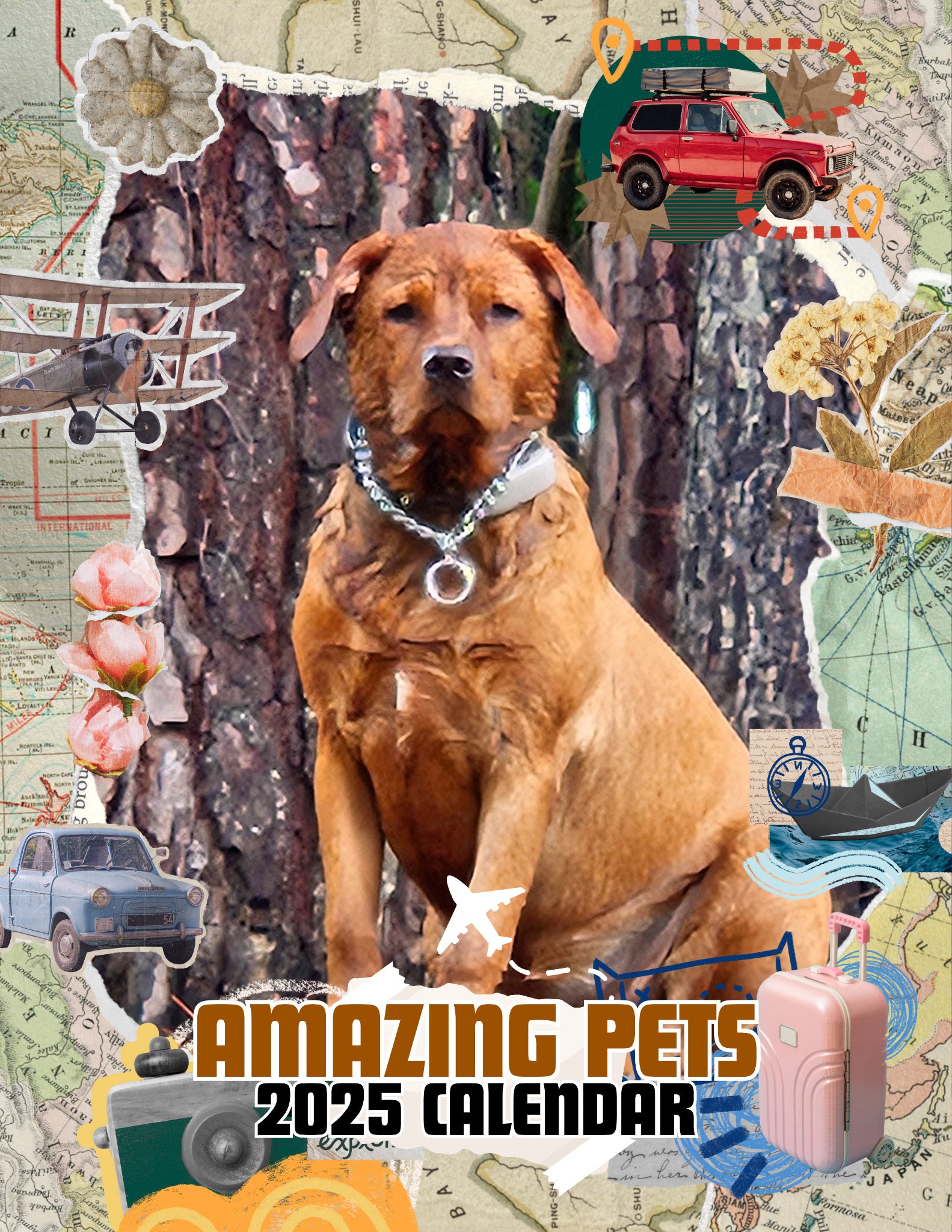 Amazing Pets: 2025 Wall Calendar (Pre-Order)
