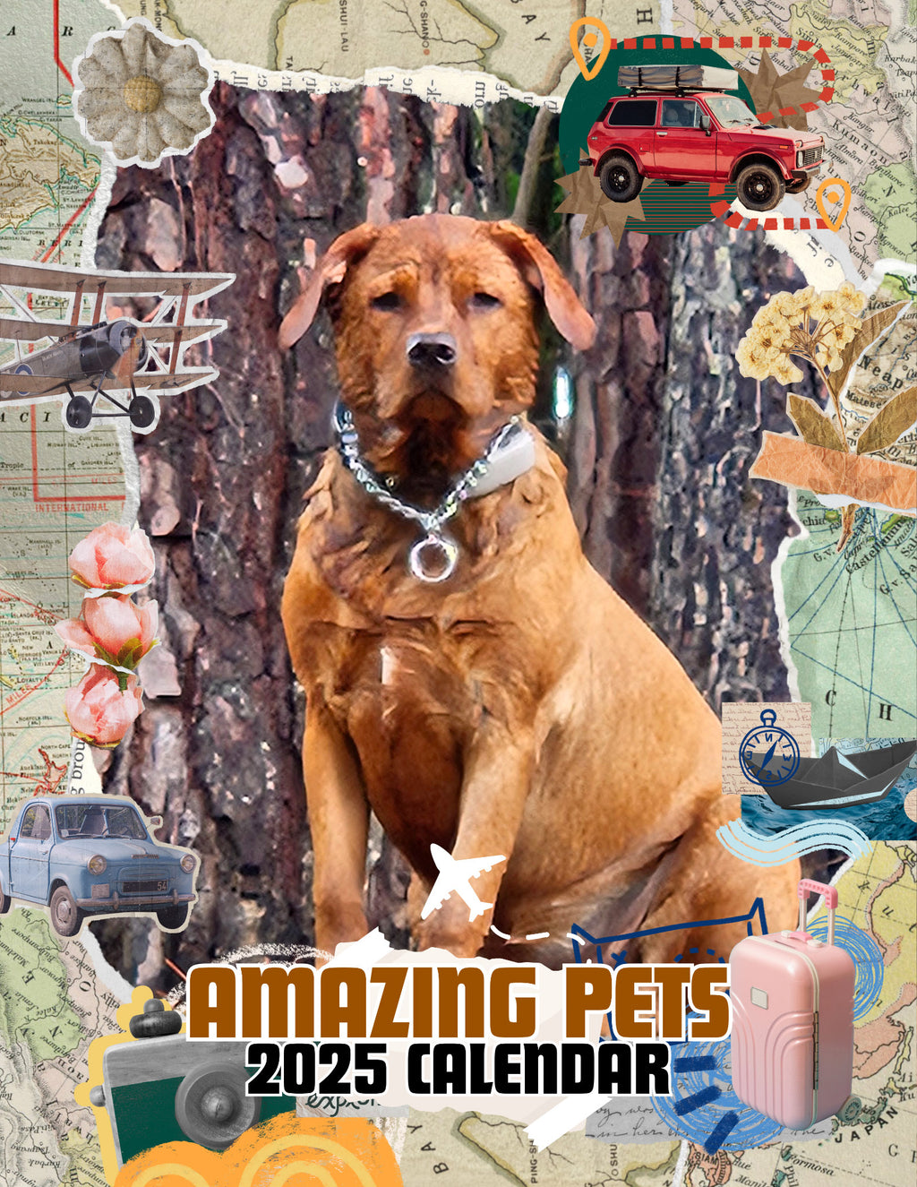 Amazing Pets: 2025 Wall Calendar (Pre-Order)