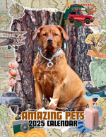 Amazing Pets: 2025 Wall Calendar (Pre-Order)