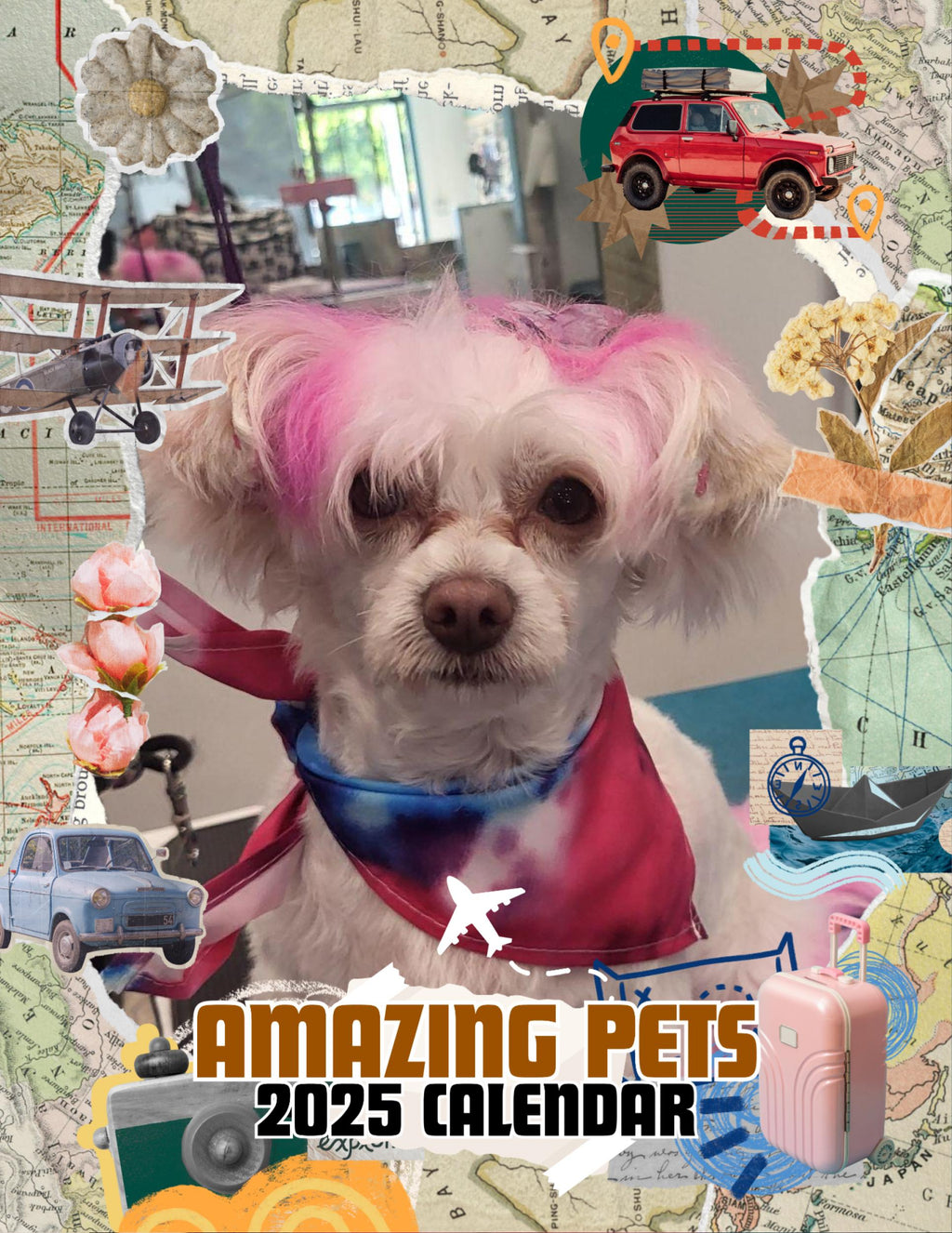 Amazing Pets: 2025 Wall Calendar (Pre-Order)