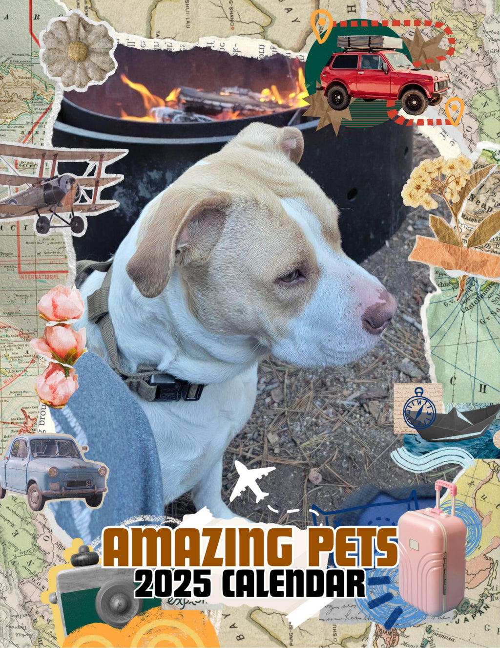 Amazing Pets: 2025 Wall Calendar (Pre-Order)
