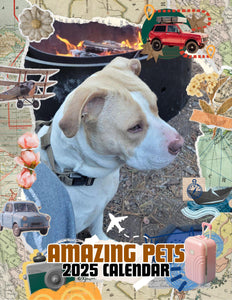 Amazing Pets: 2025 Wall Calendar (Pre-Order)