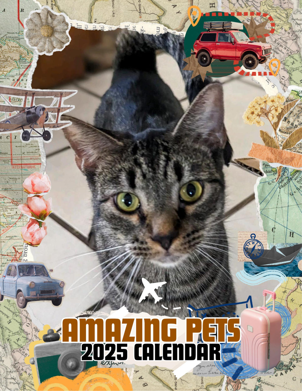Amazing Pets: 2025 Wall Calendar (Pre-Order)