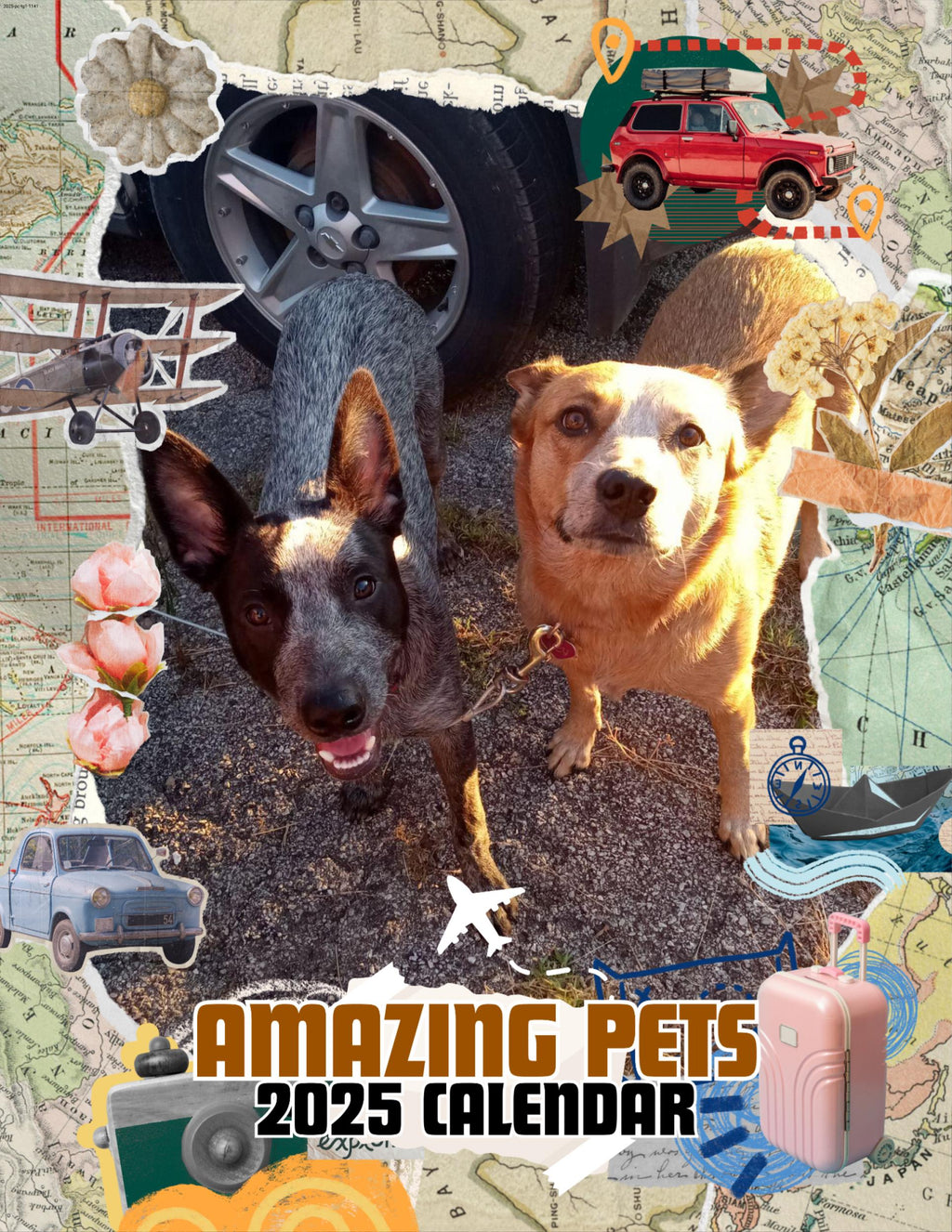 Amazing Pets: 2025 Wall Calendar (Pre-Order)