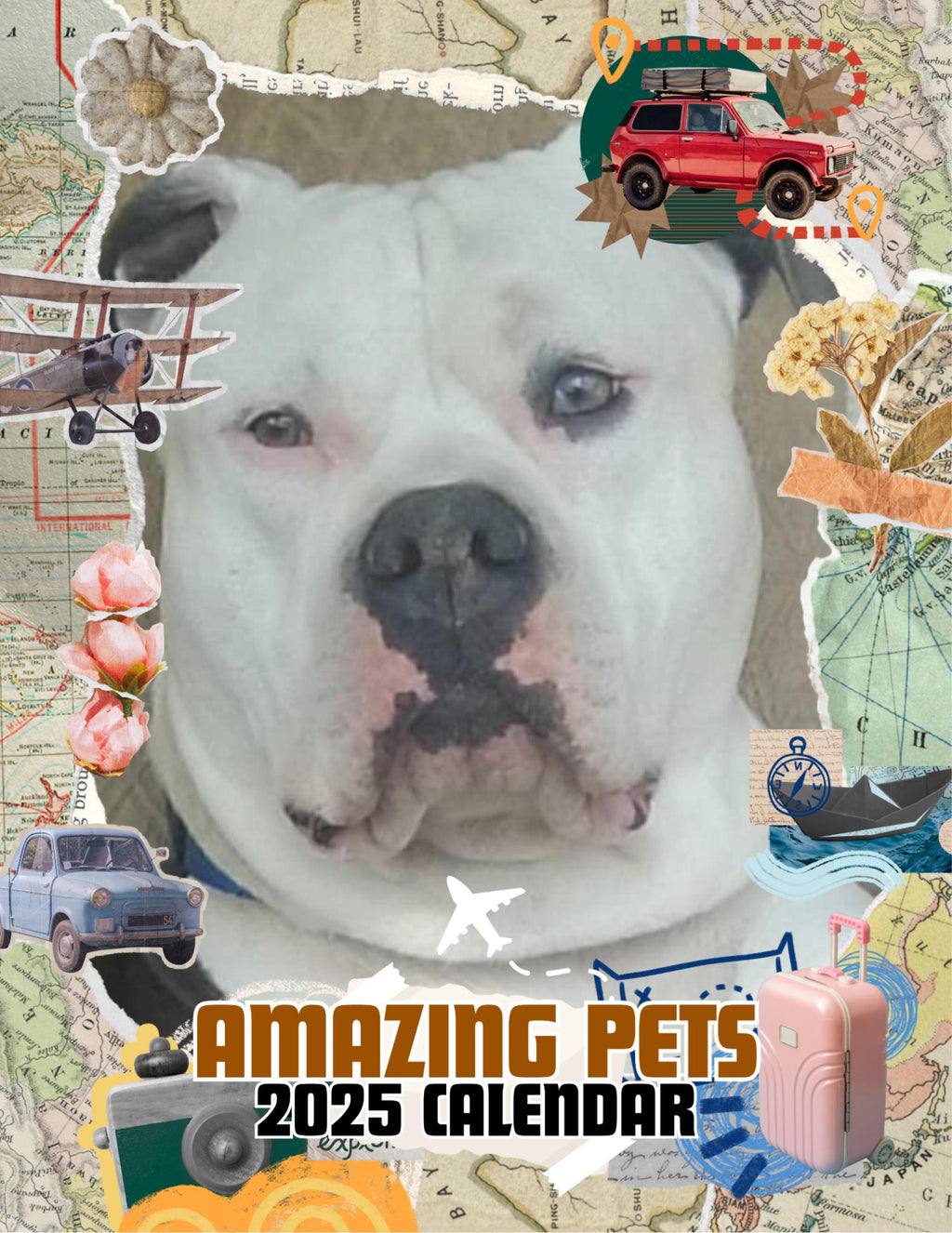 Amazing Pets: 2025 Wall Calendar (Pre-Order)