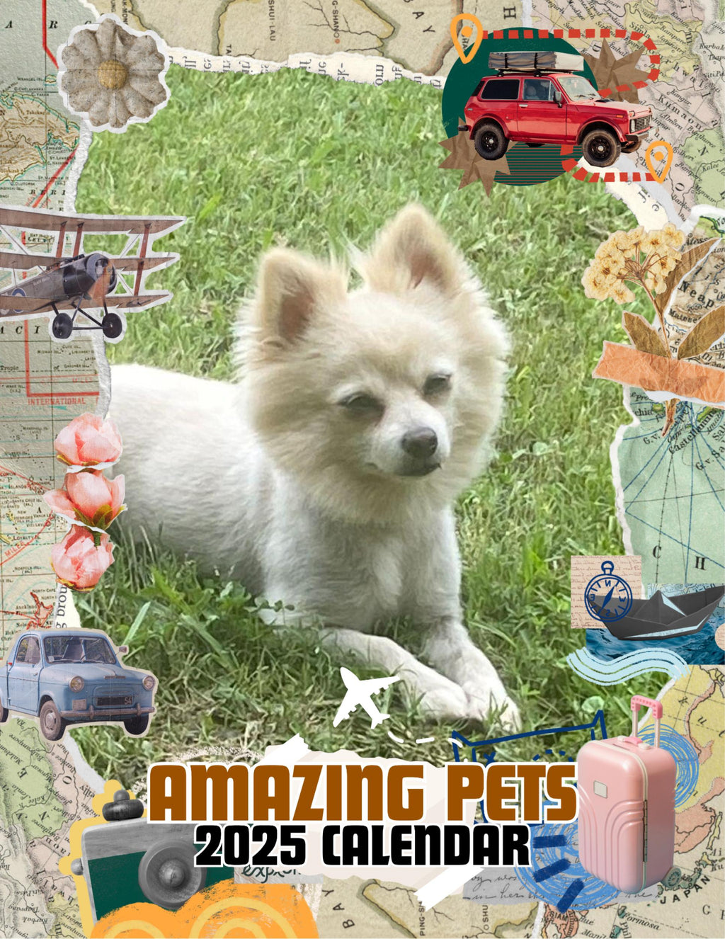 Amazing Pets: 2025 Wall Calendar (Pre-Order)