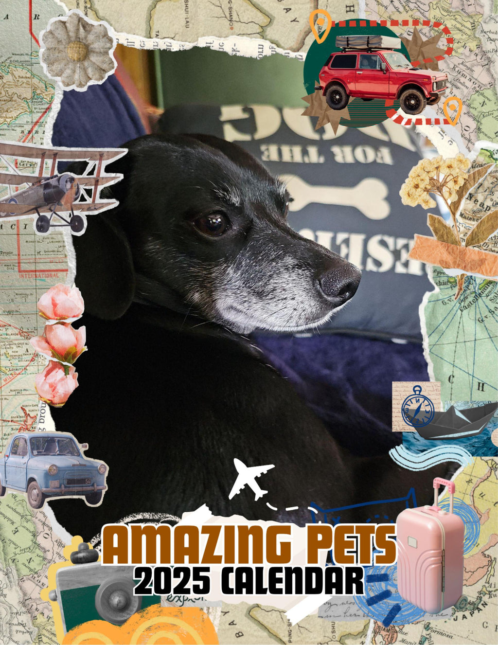 Amazing Pets: 2025 Wall Calendar (Pre-Order)
