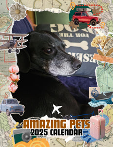 Amazing Pets: 2025 Wall Calendar (Pre-Order)