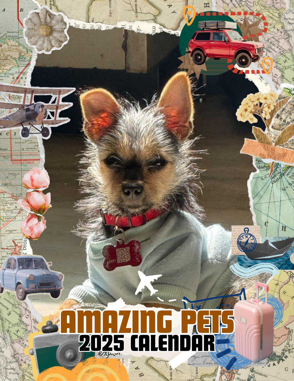Amazing Pets: 2025 Wall Calendar (Pre-Order)