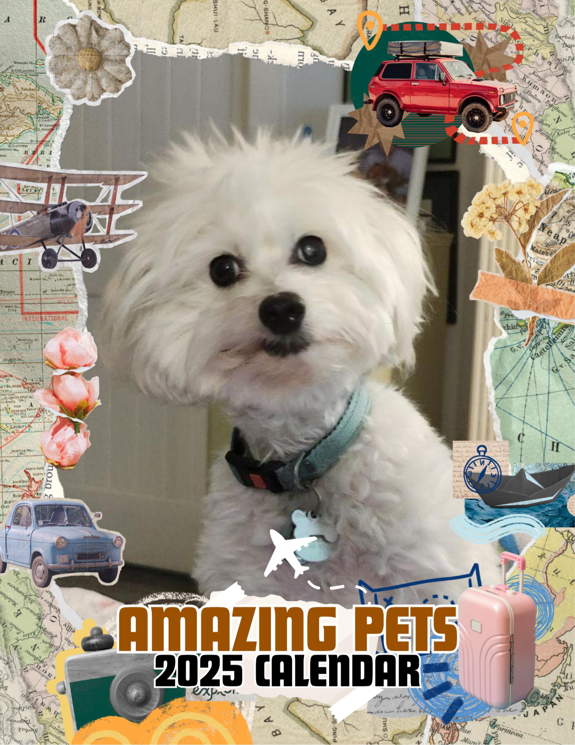 Amazing Pets: 2025 Wall Calendar (Pre-Order)