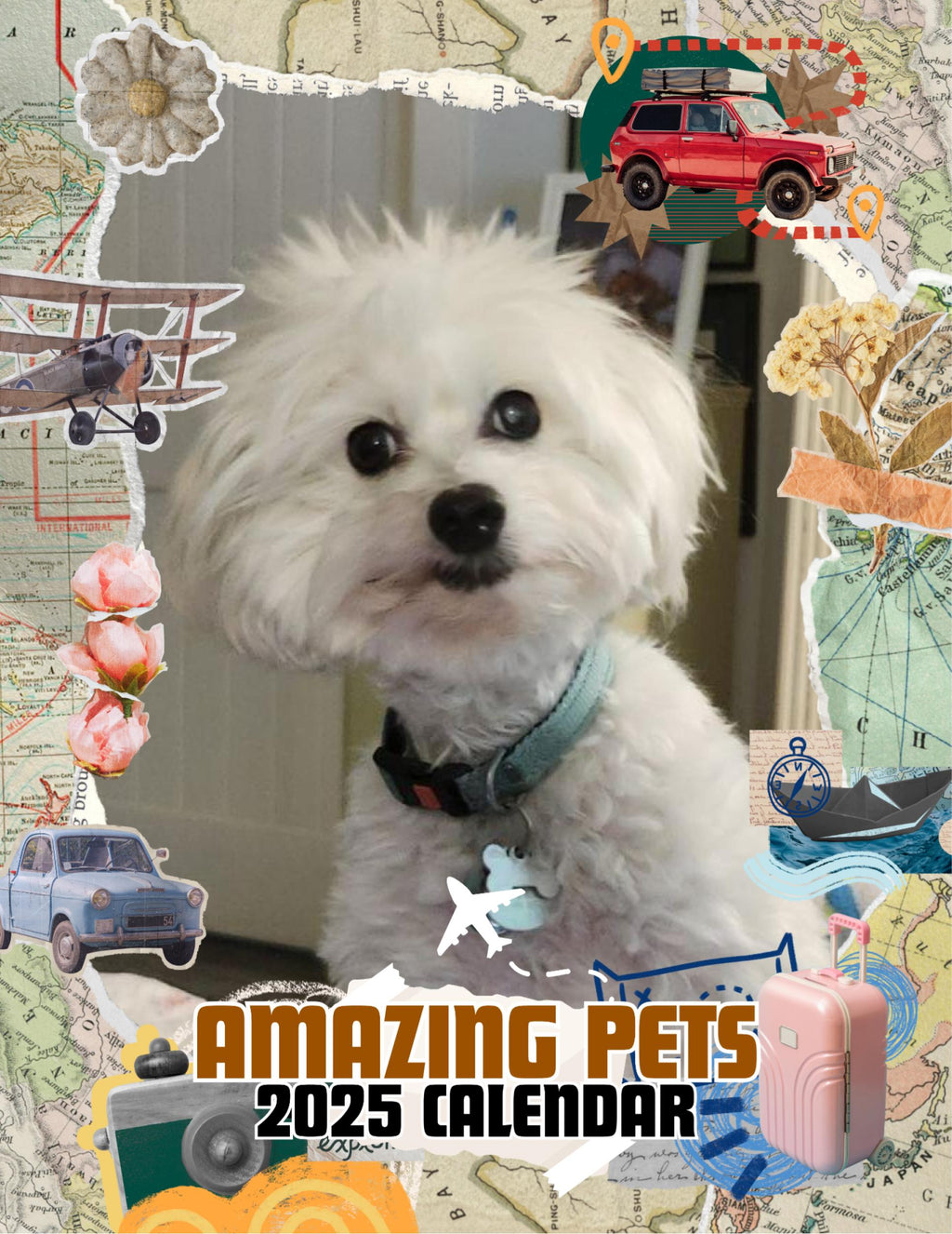 Amazing Pets: 2025 Wall Calendar (Pre-Order)