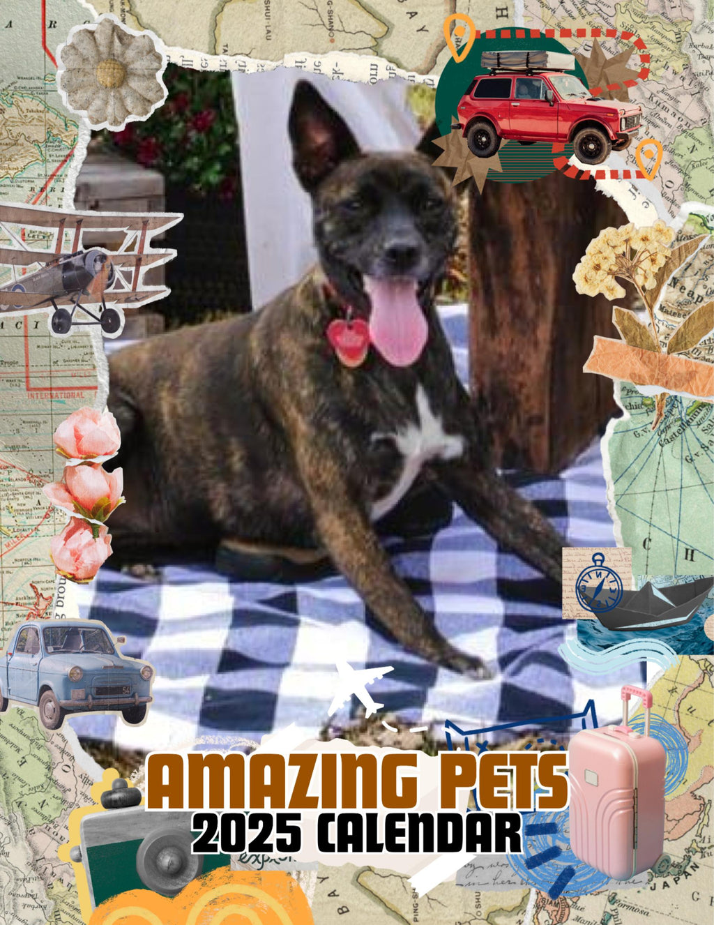Amazing Pets: 2025 Wall Calendar (Pre-Order)