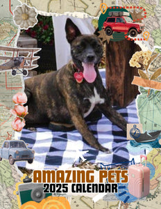 Amazing Pets: 2025 Wall Calendar (Pre-Order)