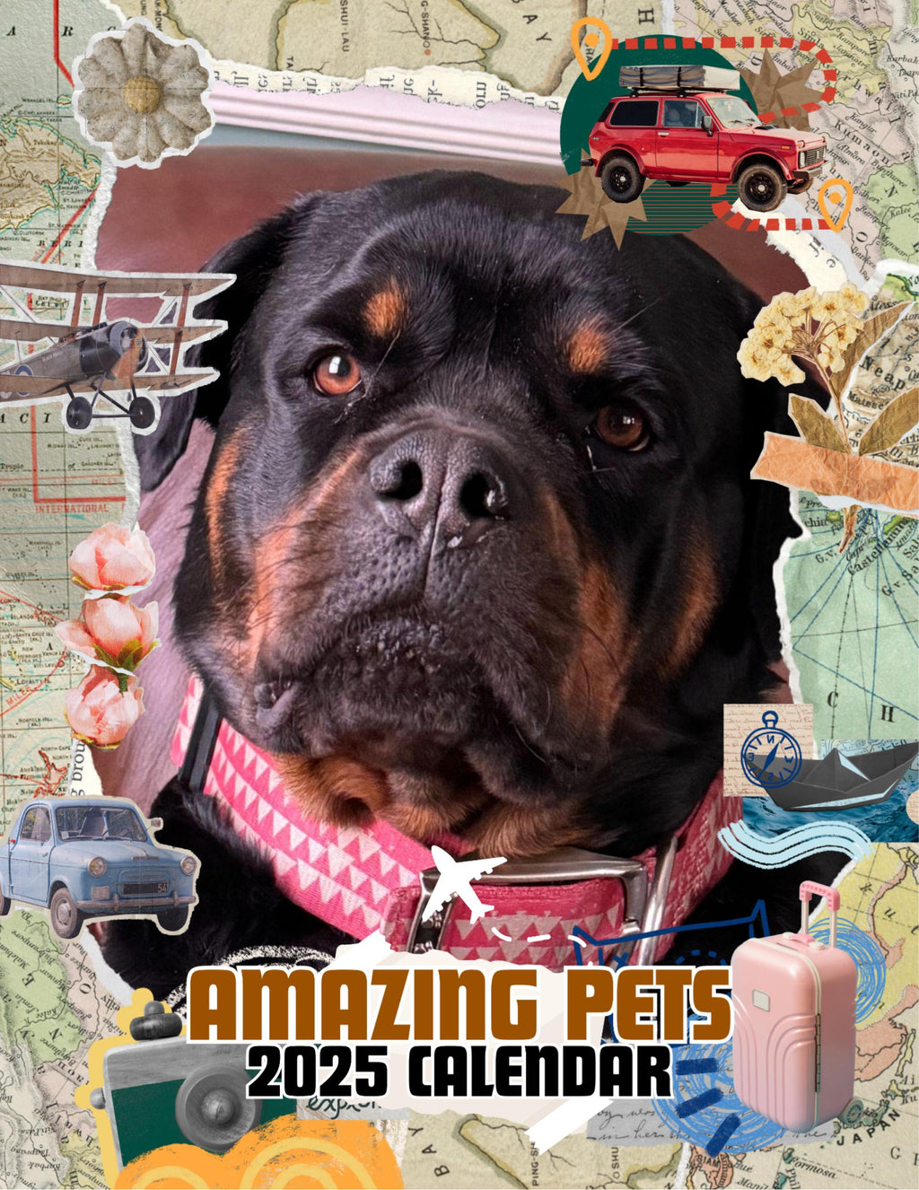 Amazing Pets: 2025 Wall Calendar (Pre-Order)