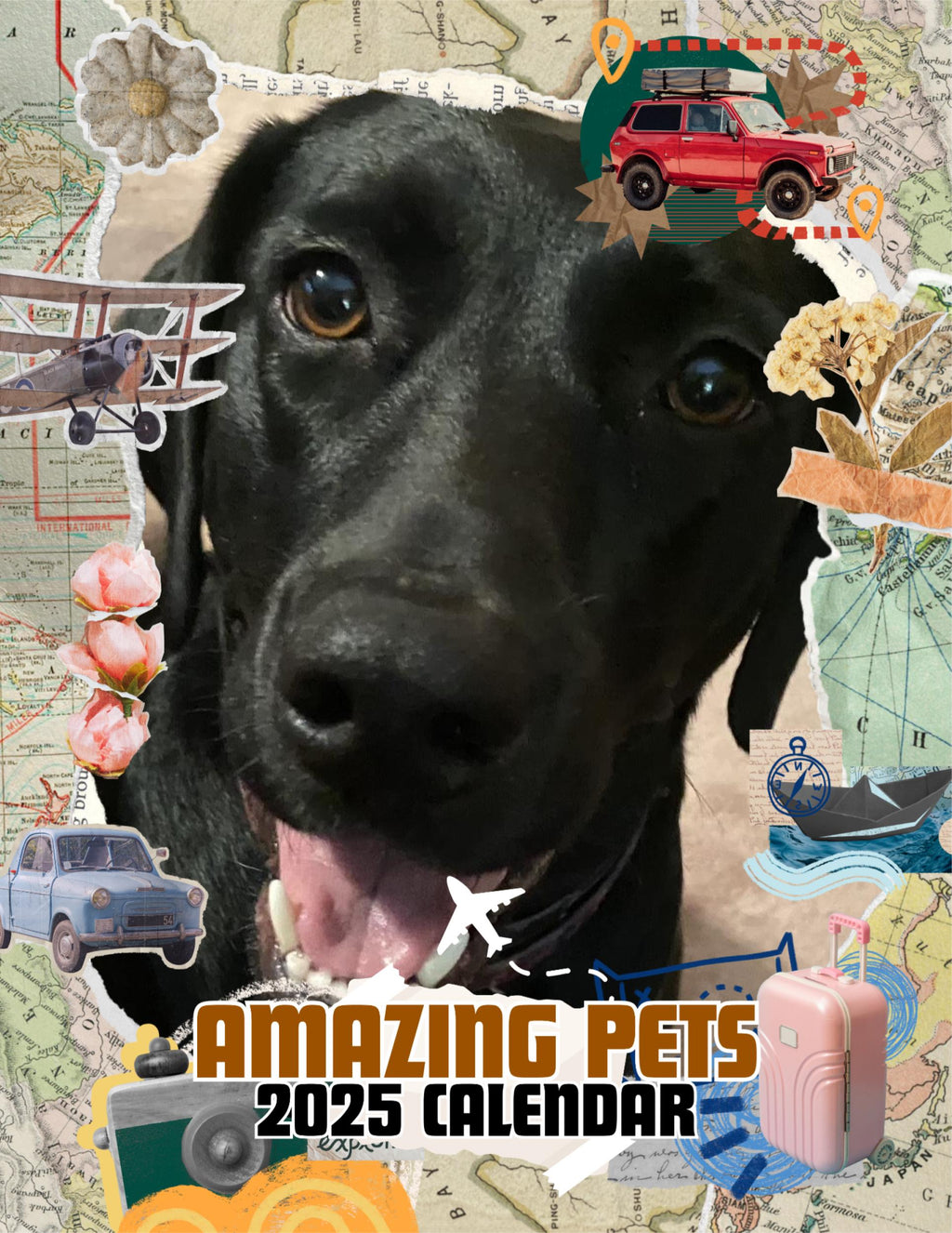 Amazing Pets: 2025 Wall Calendar (Pre-Order)