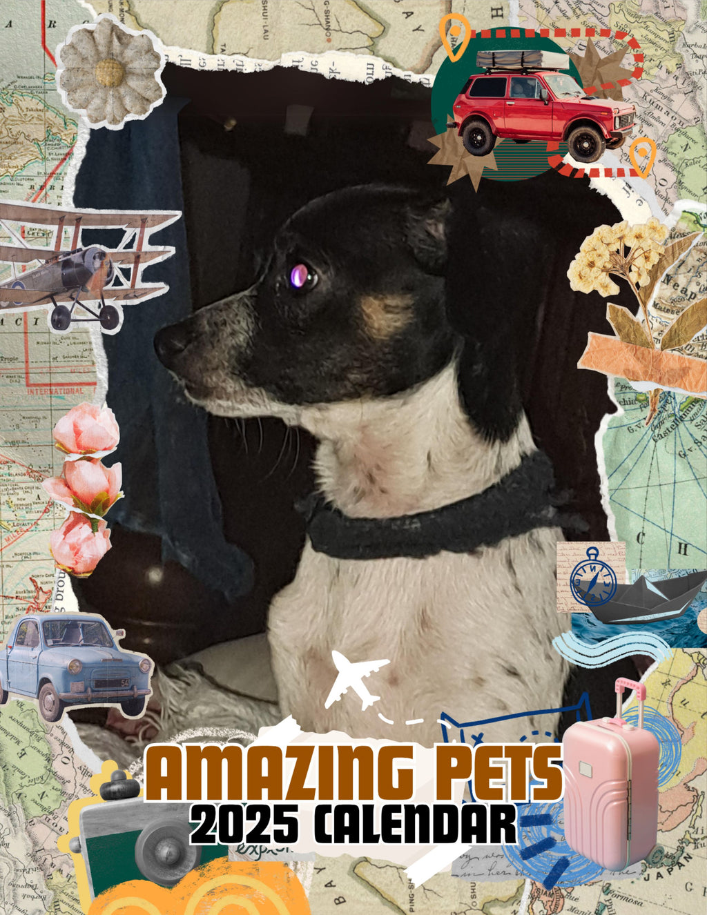 Amazing Pets: 2025 Wall Calendar (Pre-Order)