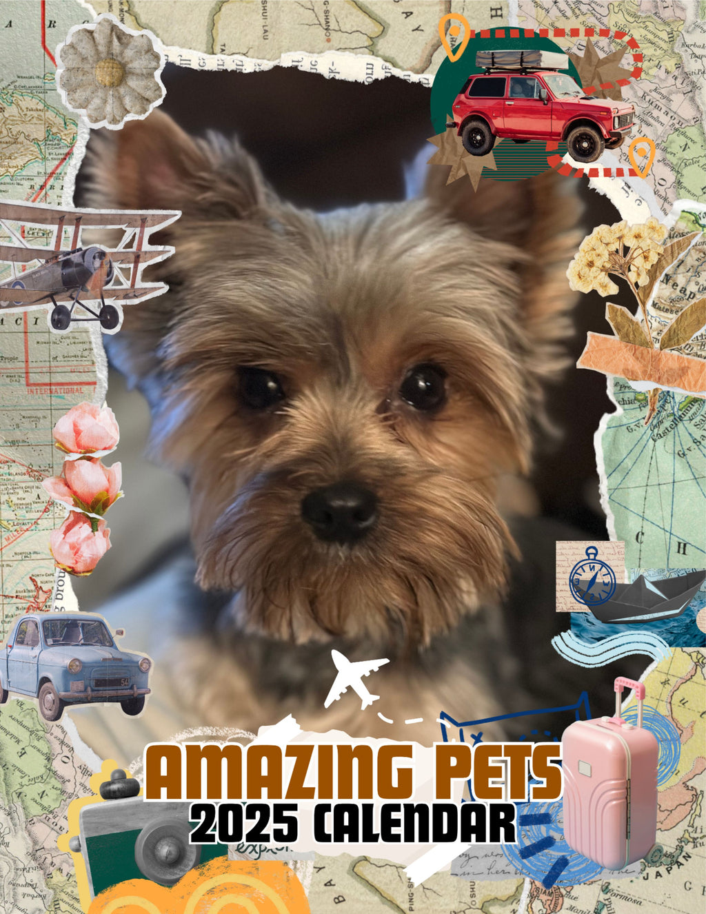 Amazing Pets: 2025 Wall Calendar (Pre-Order)