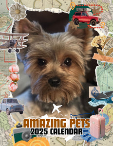 Amazing Pets: 2025 Wall Calendar (Pre-Order)