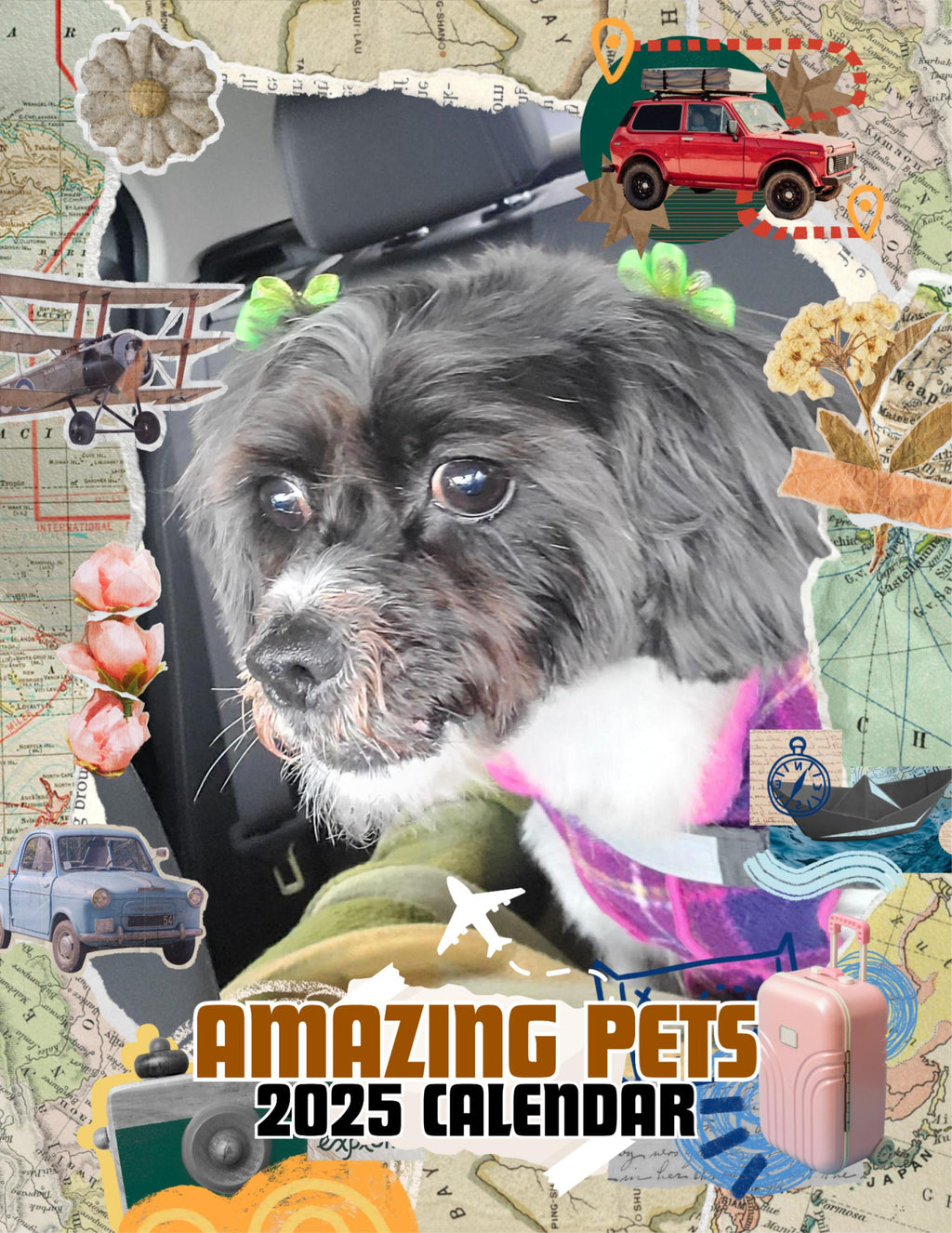 Amazing Pets: 2025 Wall Calendar (Pre-Order)