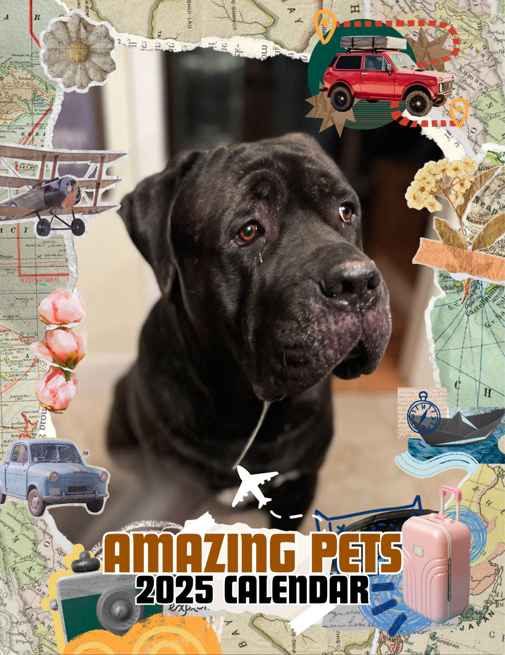 Amazing Pets: 2025 Wall Calendar (Pre-Order)