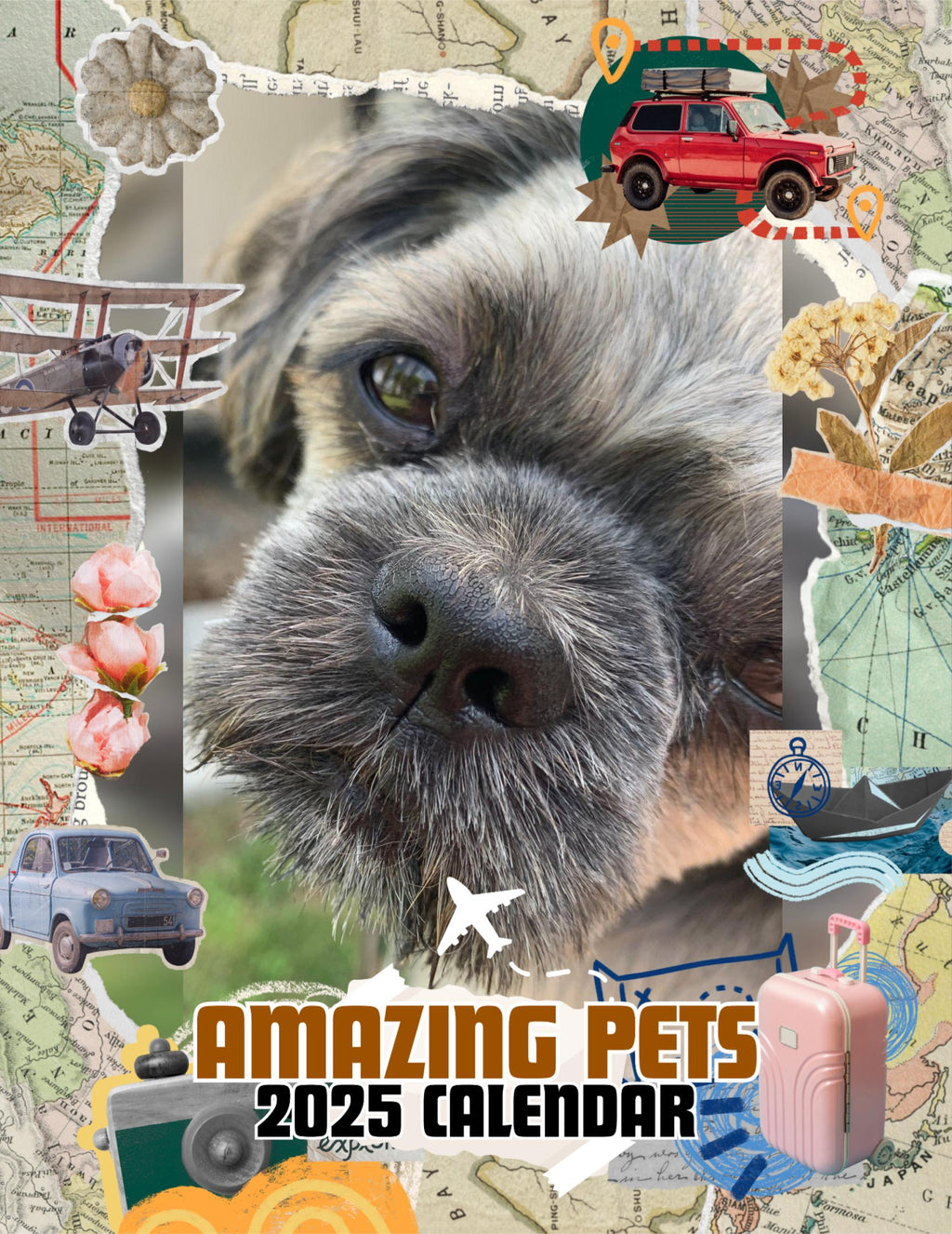 Amazing Pets: 2025 Wall Calendar (Pre-Order)