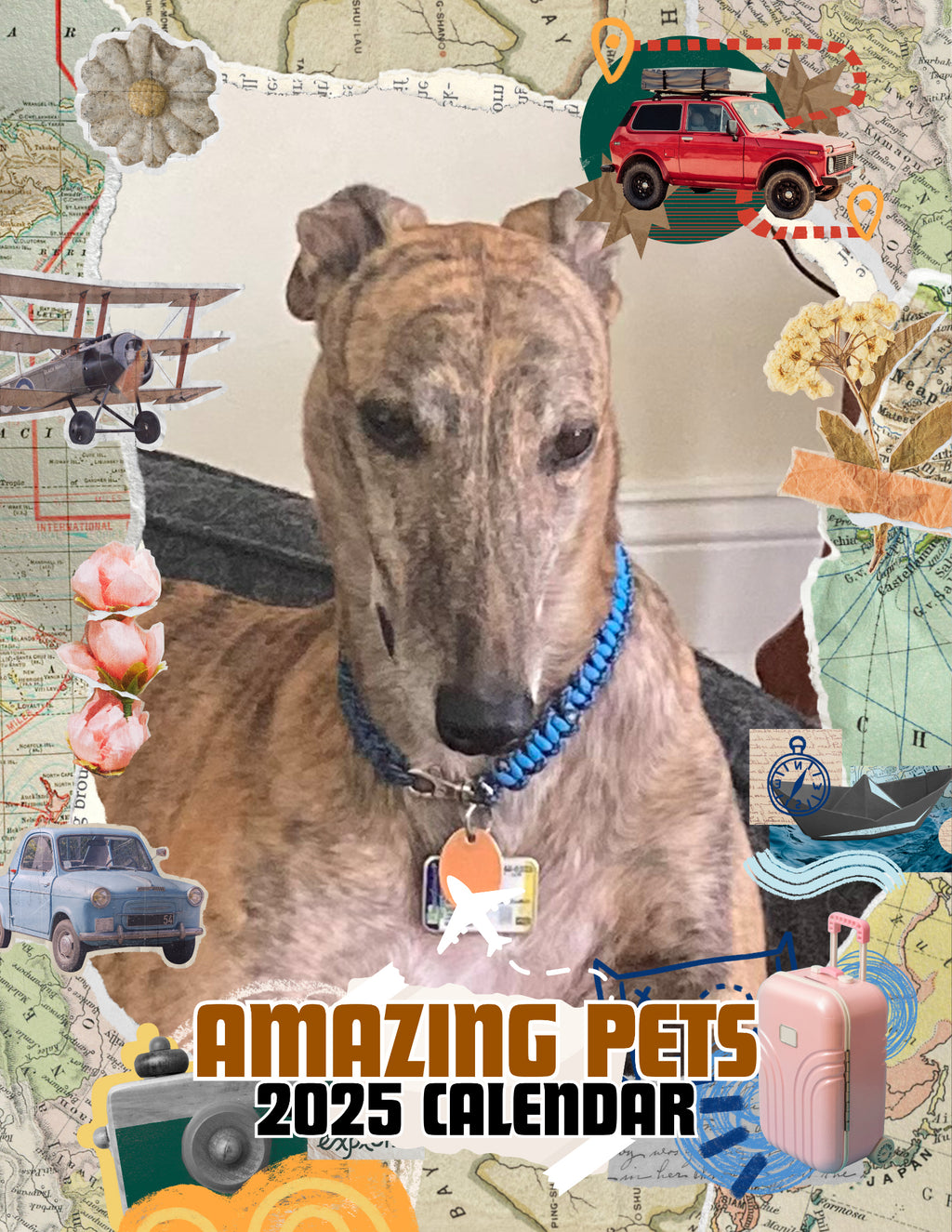 Amazing Pets: 2025 Wall Calendar (Pre-Order)