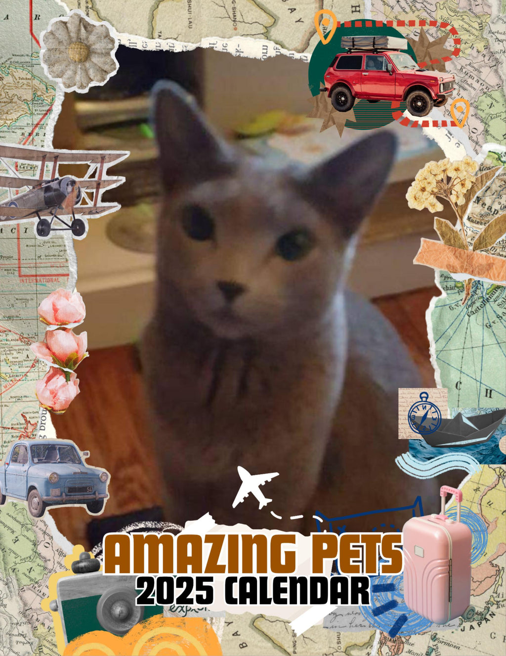 Amazing Pets: 2025 Wall Calendar (Pre-Order)