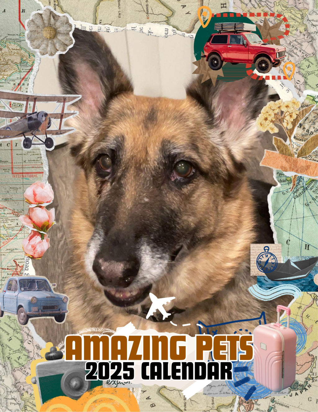 Amazing Pets: 2025 Wall Calendar (Pre-Order)