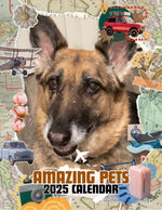 Amazing Pets: 2025 Wall Calendar (Pre-Order)