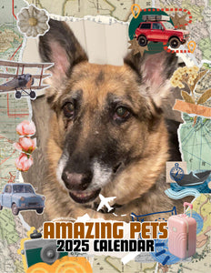 Amazing Pets: 2025 Wall Calendar (Pre-Order)
