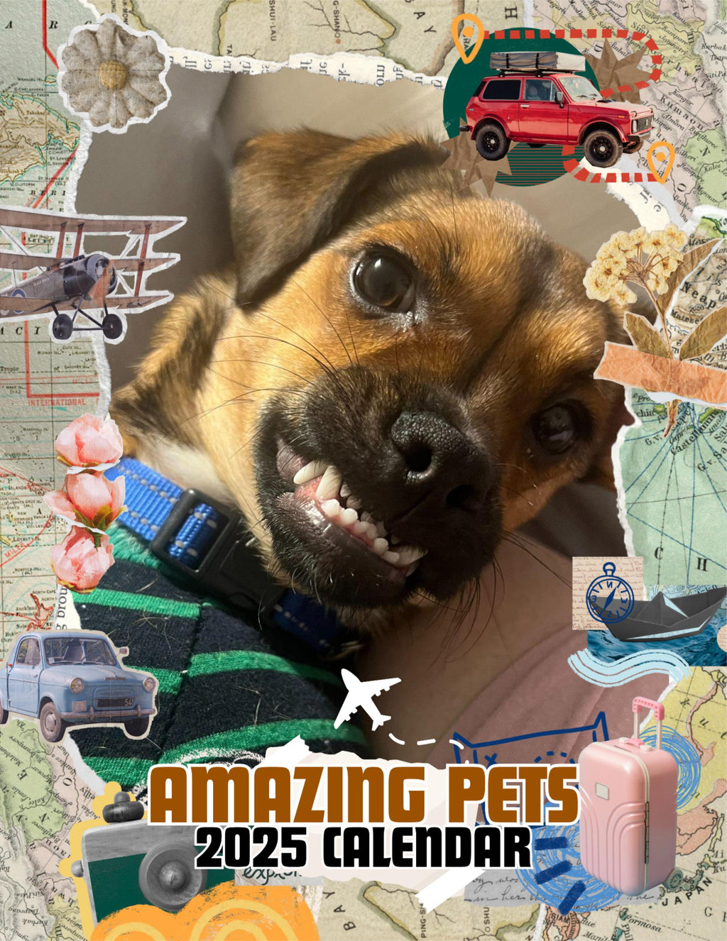 Amazing Pets: 2025 Wall Calendar (Pre-Order)
