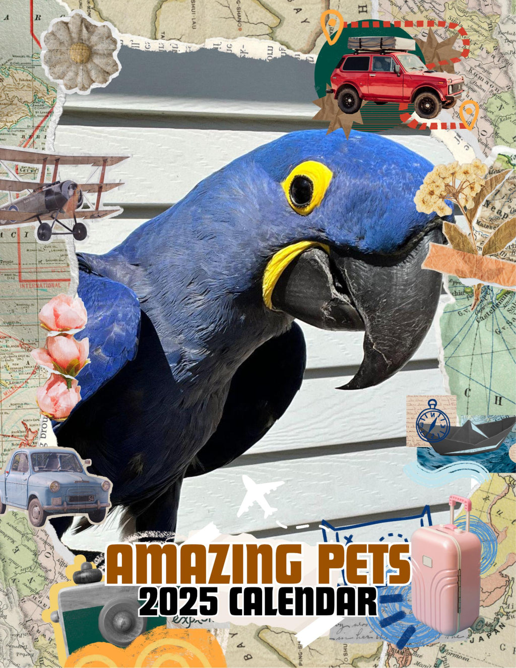 Amazing Pets: 2025 Wall Calendar (Pre-Order)