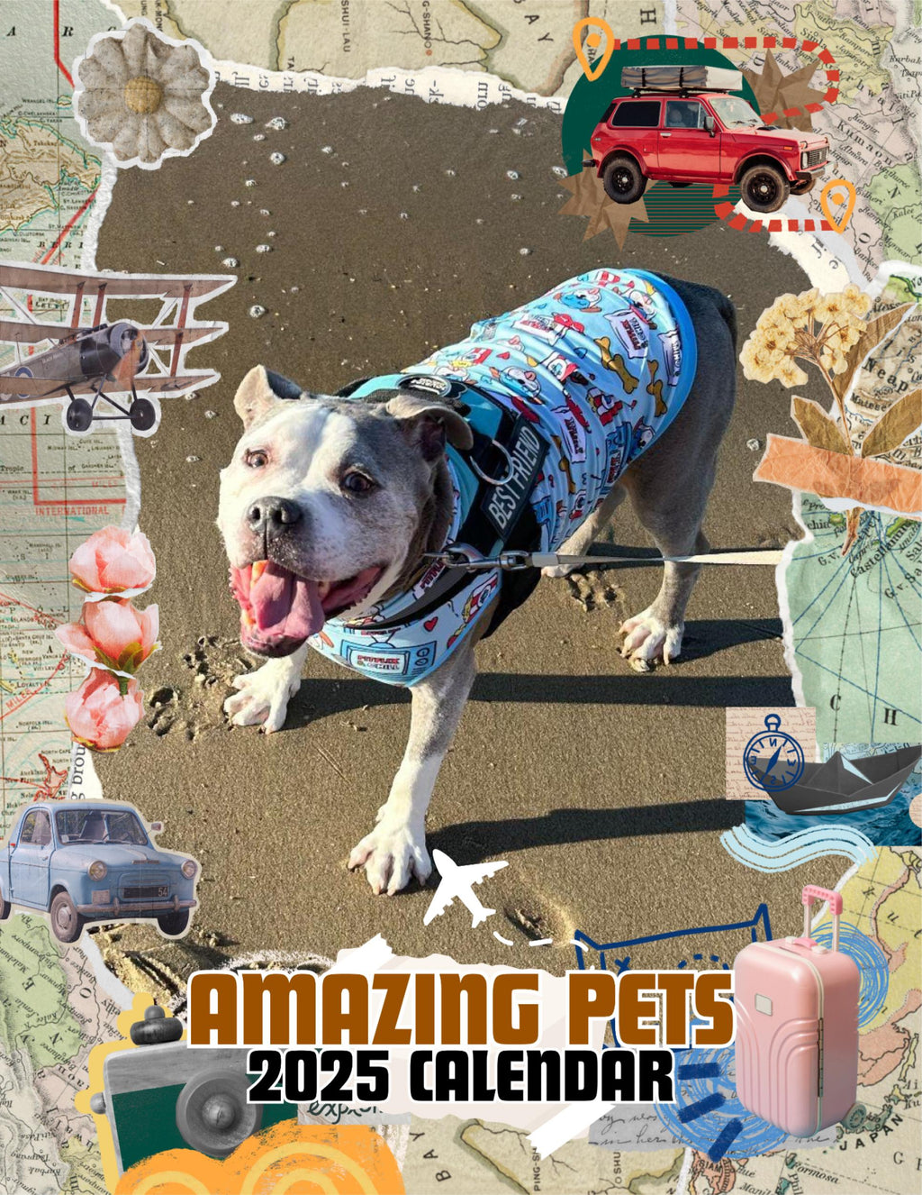 Amazing Pets: 2025 Wall Calendar (Pre-Order)
