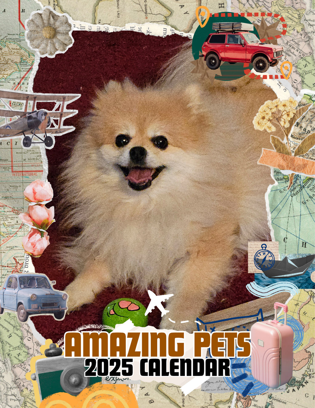 Amazing Pets: 2025 Wall Calendar (Pre-Order)