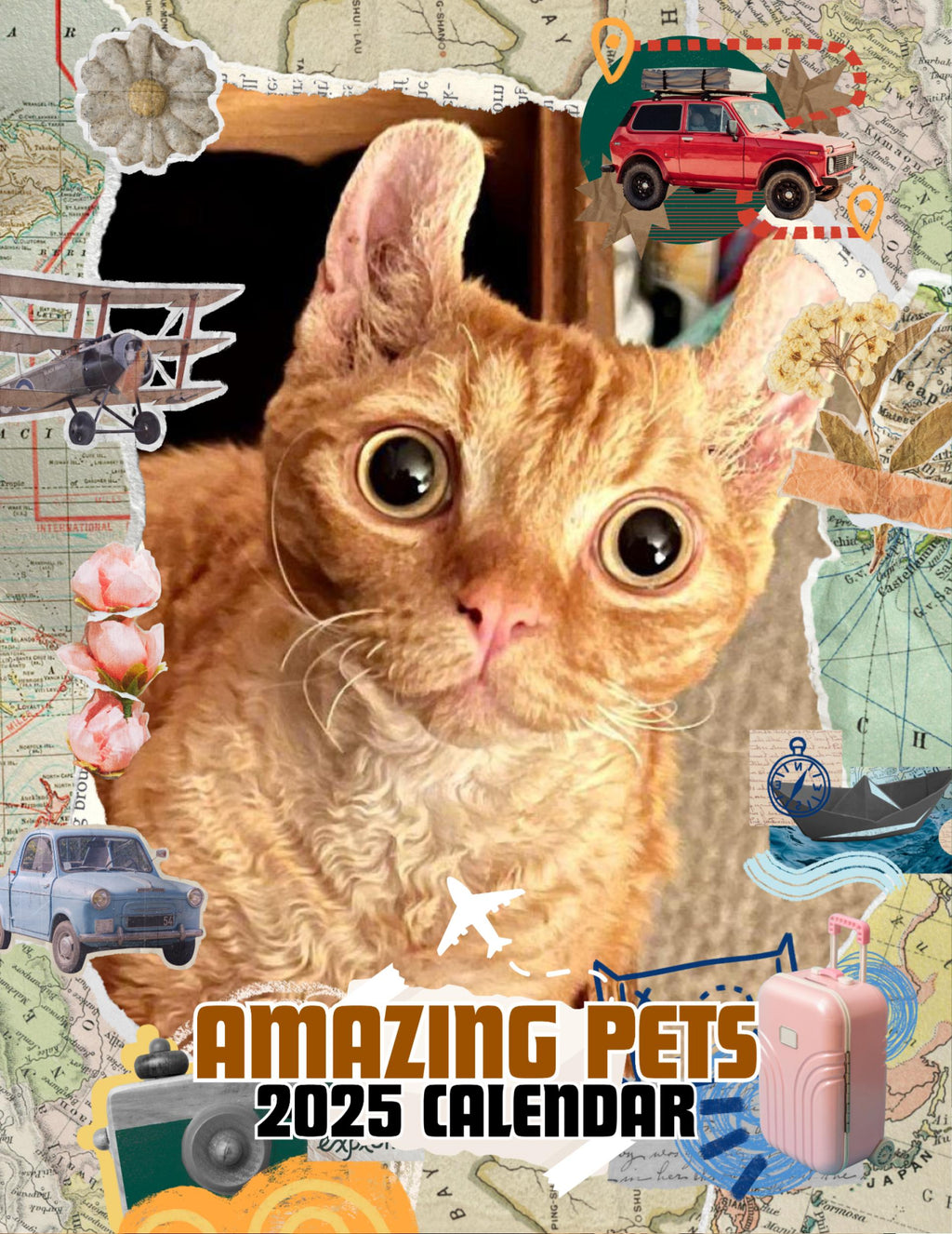 Amazing Pets: 2025 Wall Calendar (Pre-Order)